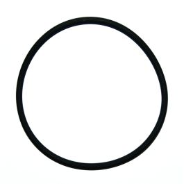 O-RING 1369878 | TRUCKSPARES 365. SKU: 3651096532