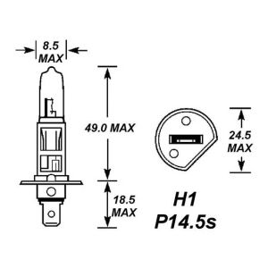 H1 448 12V 55W HALOGEN BULB