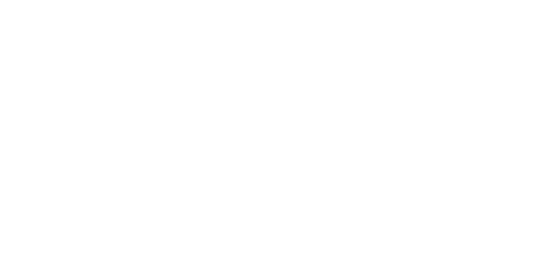IVECO IVECO